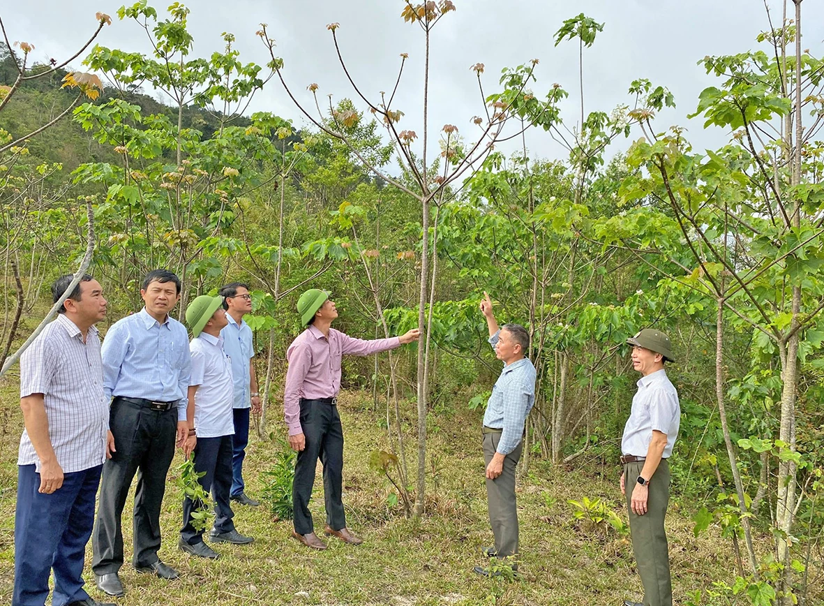 Tăng cường công tác giám sát của Hội đồng nhân dân tỉnh
