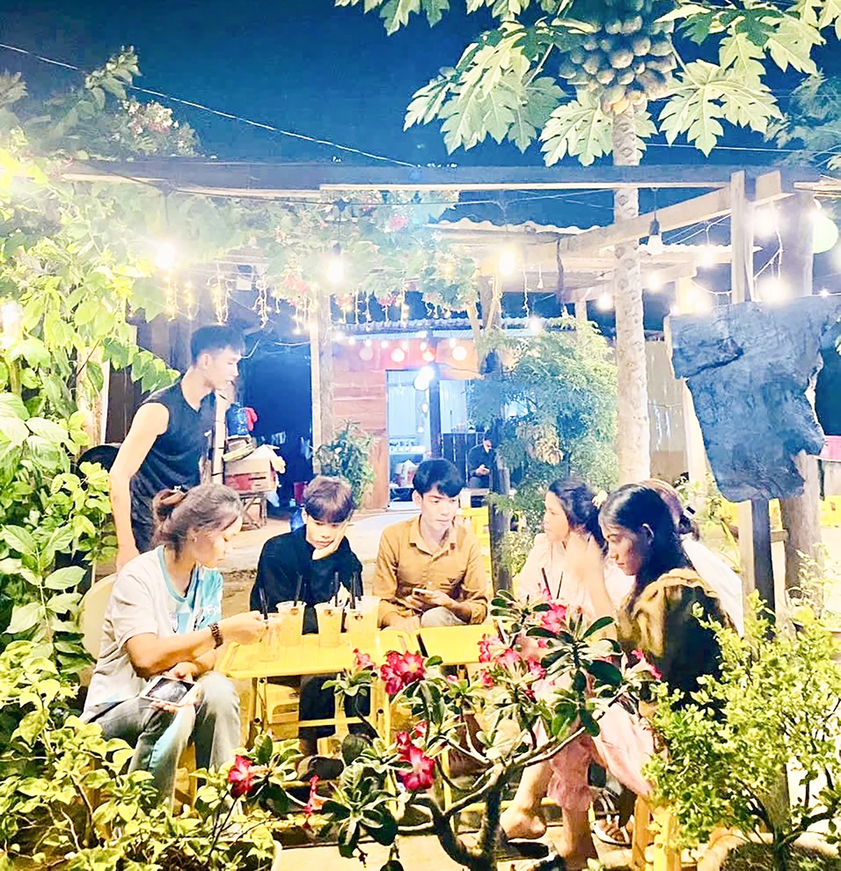 Hỗ trợ thanh niên miền núi lập thân, lập nghiệp