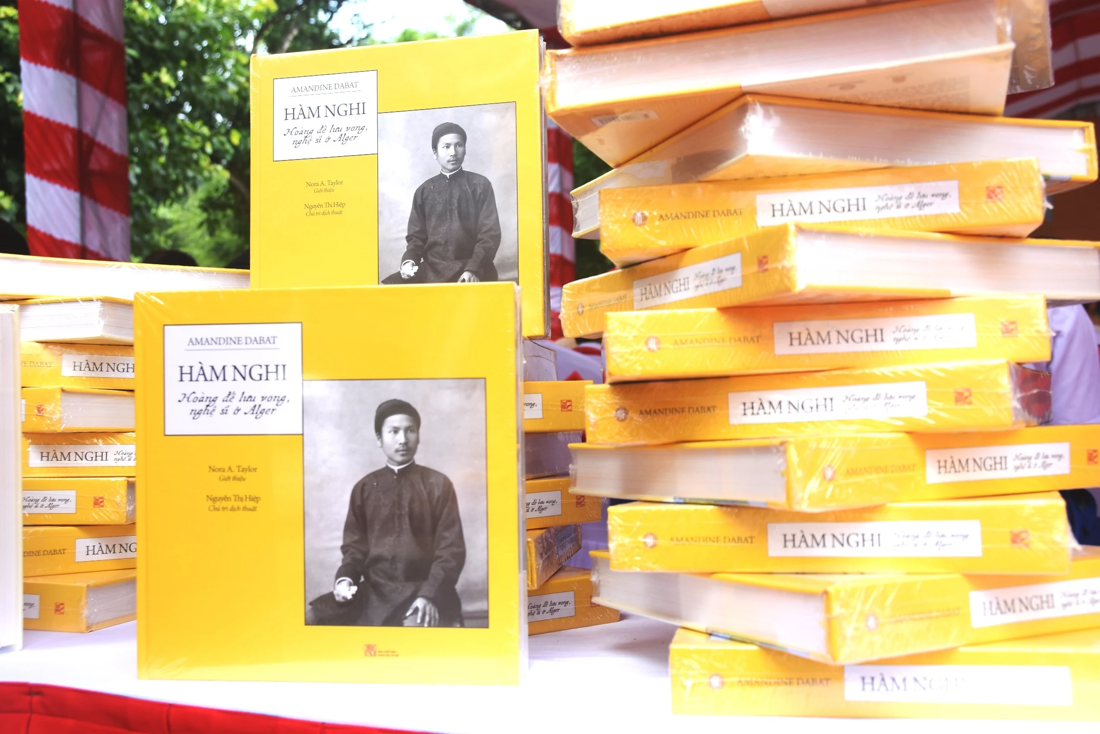 Exploring the life of King Ham Nghi: book and exhibition launched