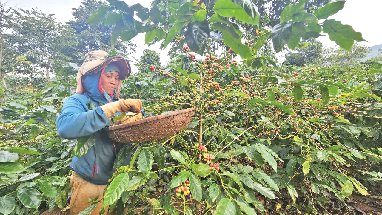Phát huy hiệu quả chính sách phát triển kinh tế-xã hội vùng đồng bào dân tộc thiểu số và miền núi