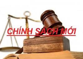 12 đối tượng được miễn thu tiền dịch vụ sử dụng đường bộ từ 1/1/2025