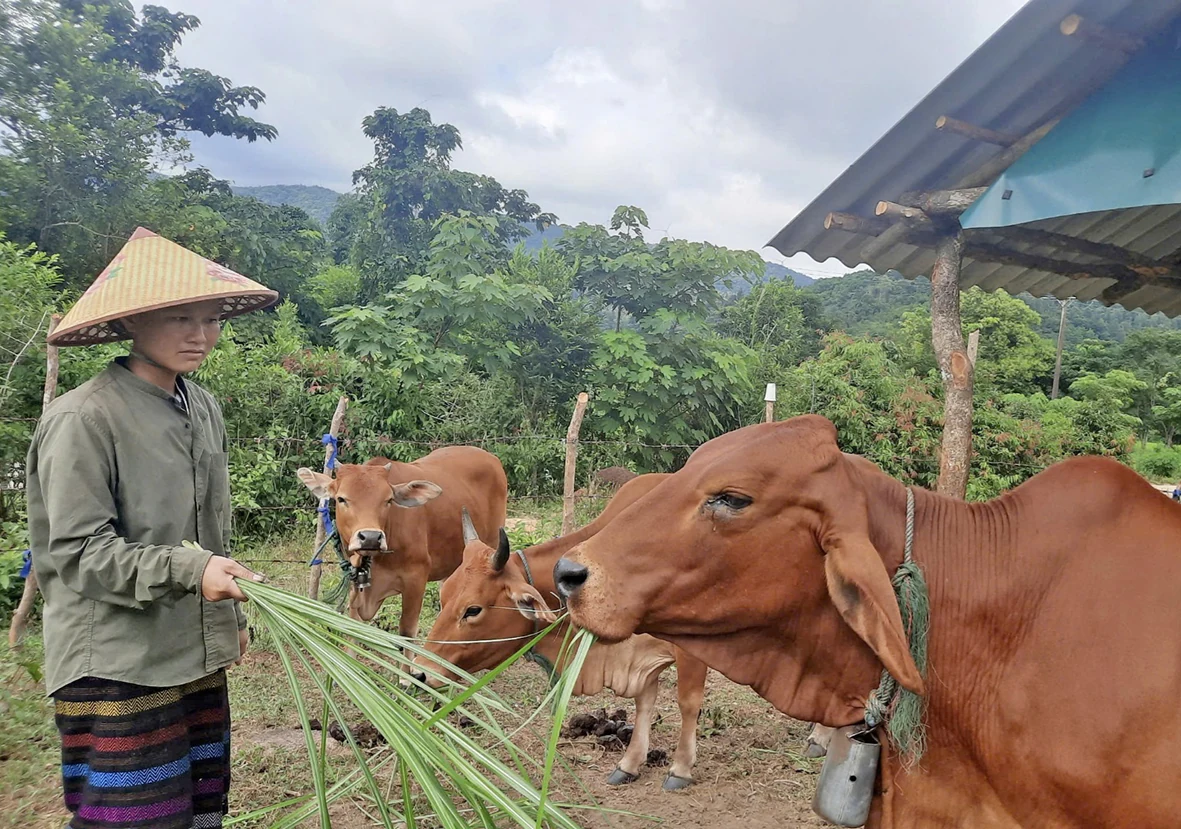 Người phụ nữ Vân Kiều vượt khó vươn lên