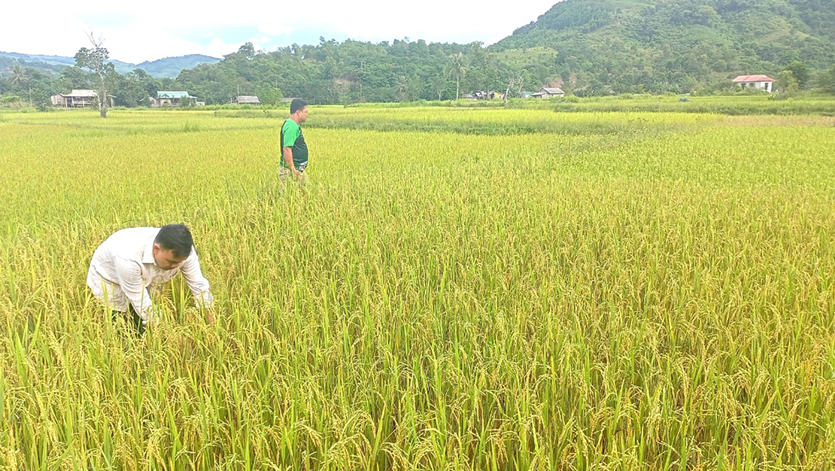 Nỗ lực giảm nghèo bền vững cho đồng bào dân tộc thiểu số ở Đakrông