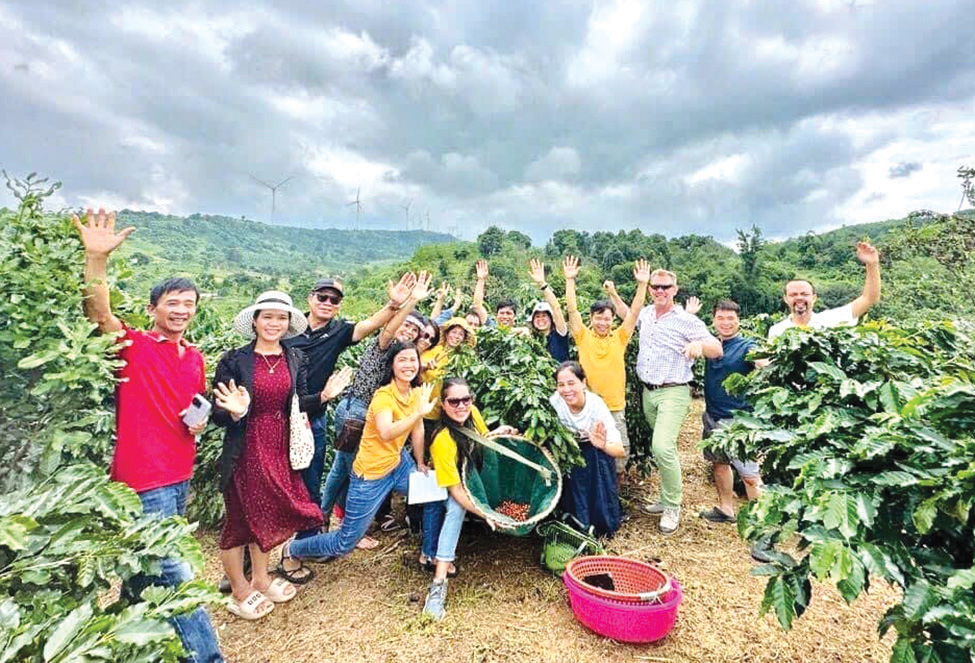 Vinh danh cà phê Arabica Khe Sanh