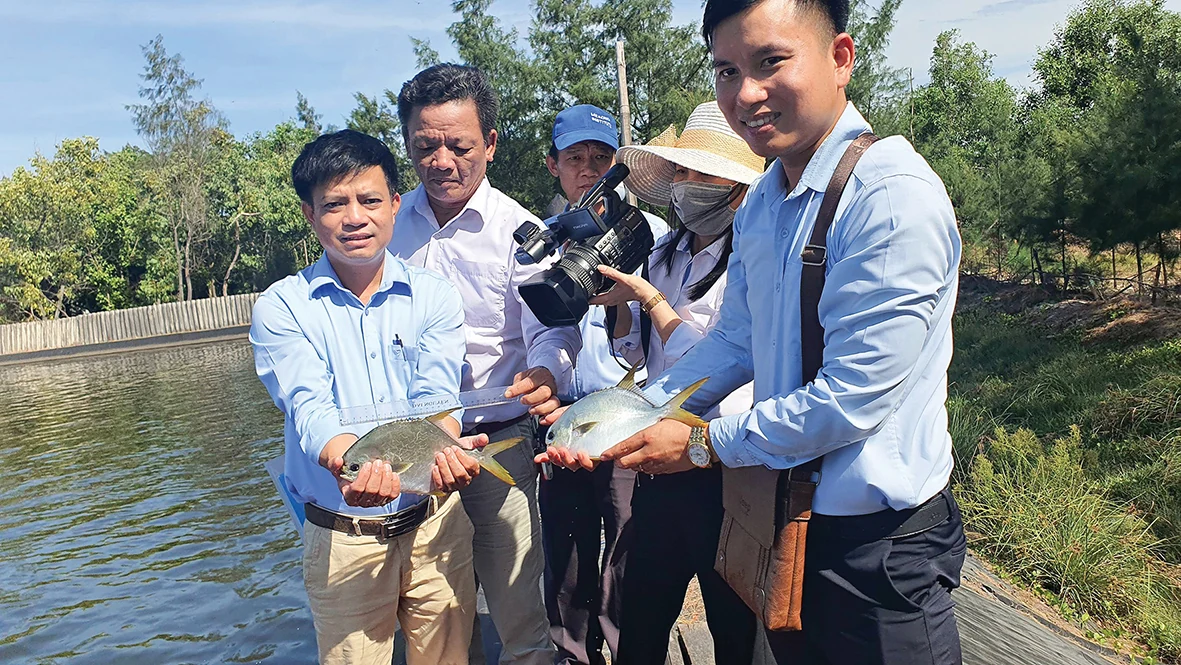Quang Tri strives to enhance quality and value of agricultural products