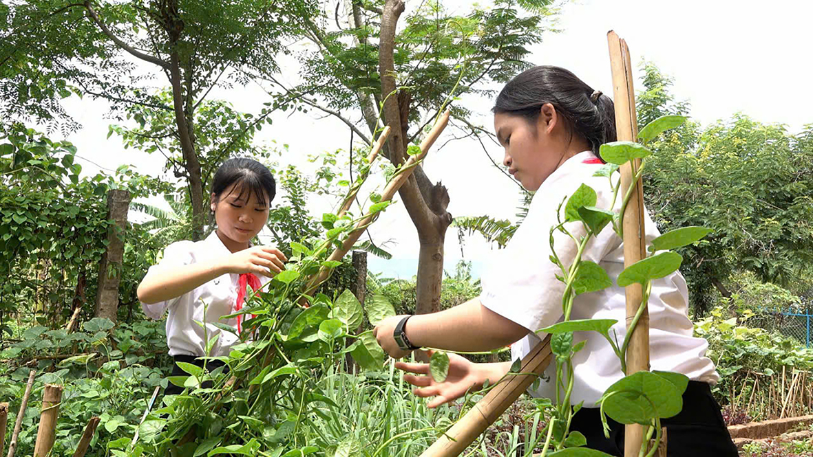 Huong Hoa makes non-governmental capital effective