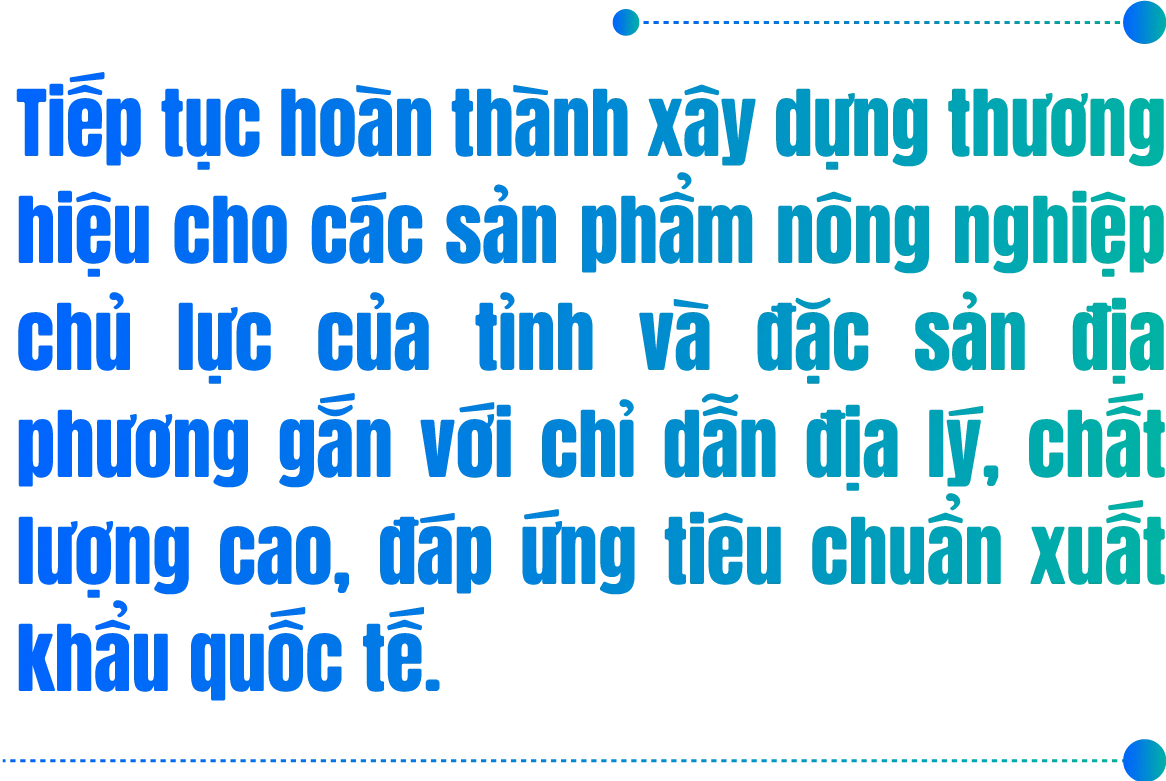 Quy hoạch tỉnh Bình Phước thời kỳ 2021-2030, tầm nhìn đến năm 2050: TẦM NHÌN MỚI, CƠ HỘI MỚI, GIÁ TRỊ MỚI