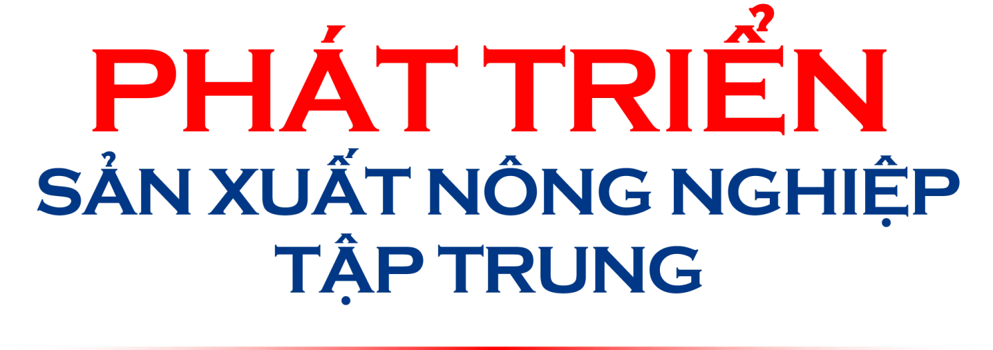Quy hoạch tỉnh Bình Phước thời kỳ 2021-2030, tầm nhìn đến năm 2050: TẦM NHÌN MỚI, CƠ HỘI MỚI, GIÁ TRỊ MỚI