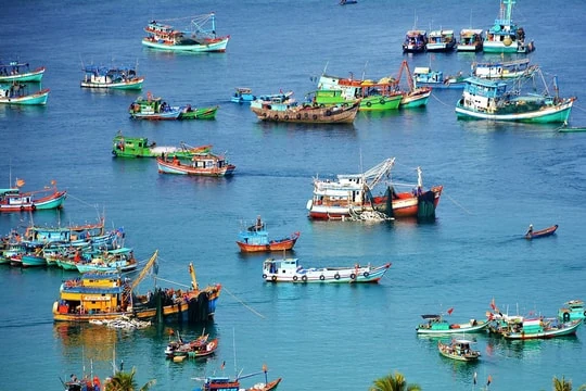 Phấn đấu năm 2025 giá trị tăng trưởng nông, lâm, thủy sản đạt 2,5% - 3%