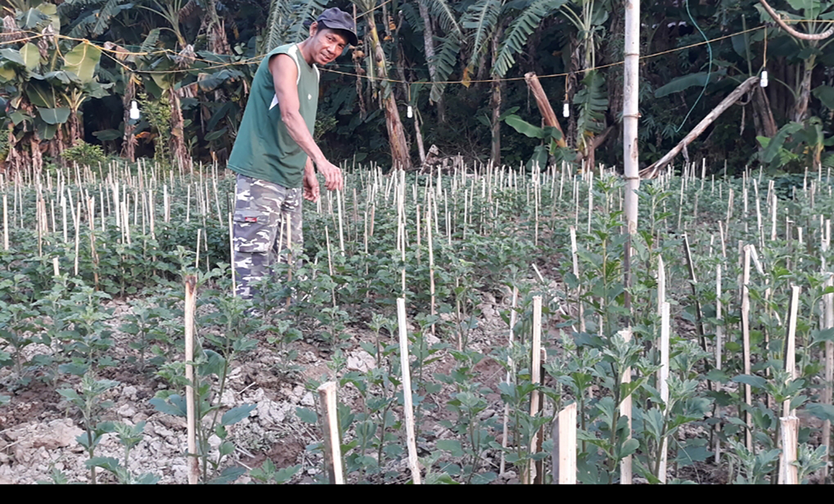 Triệu Phong đẩy mạnh phát triển nền nông nghiệp hàng hóa