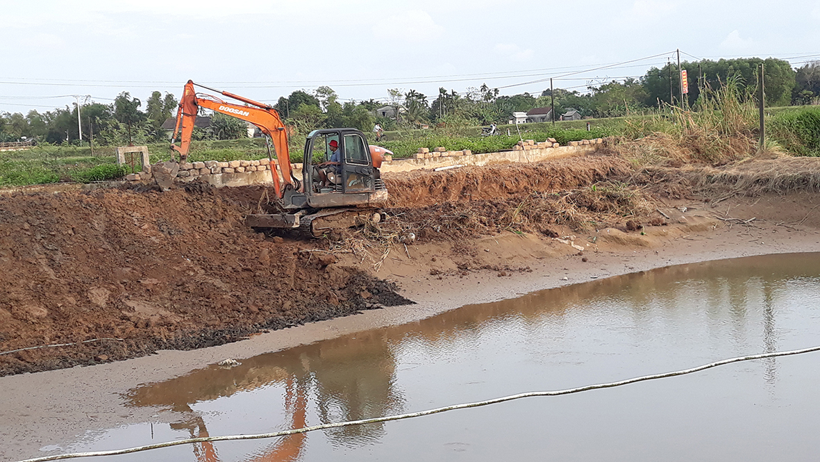 Triệu Phong nâng cao vai trò hoạt động của hợp tác xã nông nghiệp