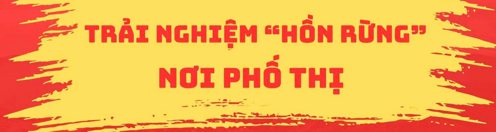 Bay xa hương sắc đại ngàn