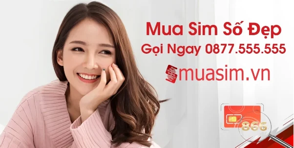 Dự báo giá sim năm 2025: Kịch bản nào đang chờ đón nhà đầu tư?