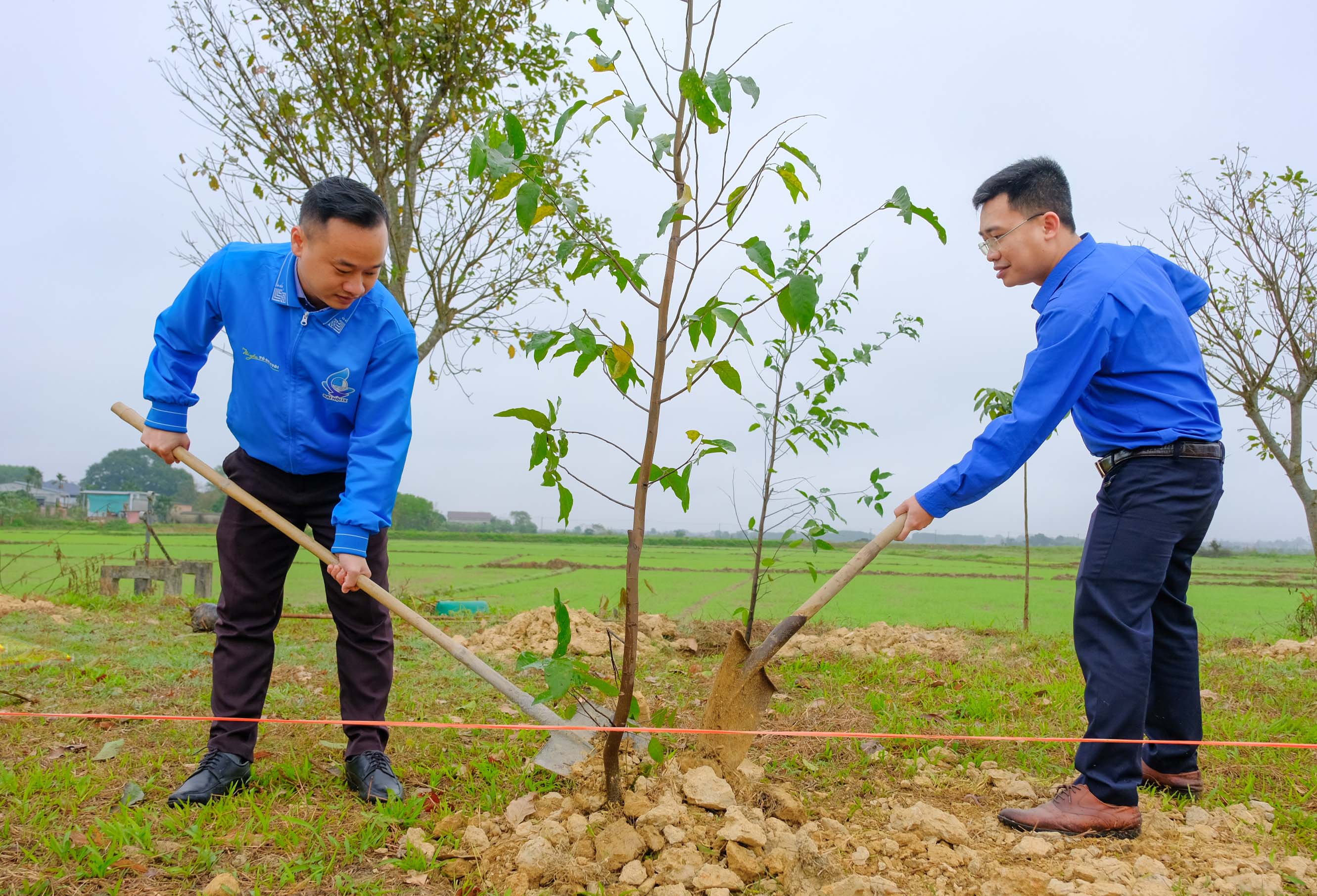 Tỉnh đoàn và Hội LHTN Việt Nam tỉnh tổ chức ra quân Tết trồng cây “Đời đời nhớ ơn Bác Hồ”