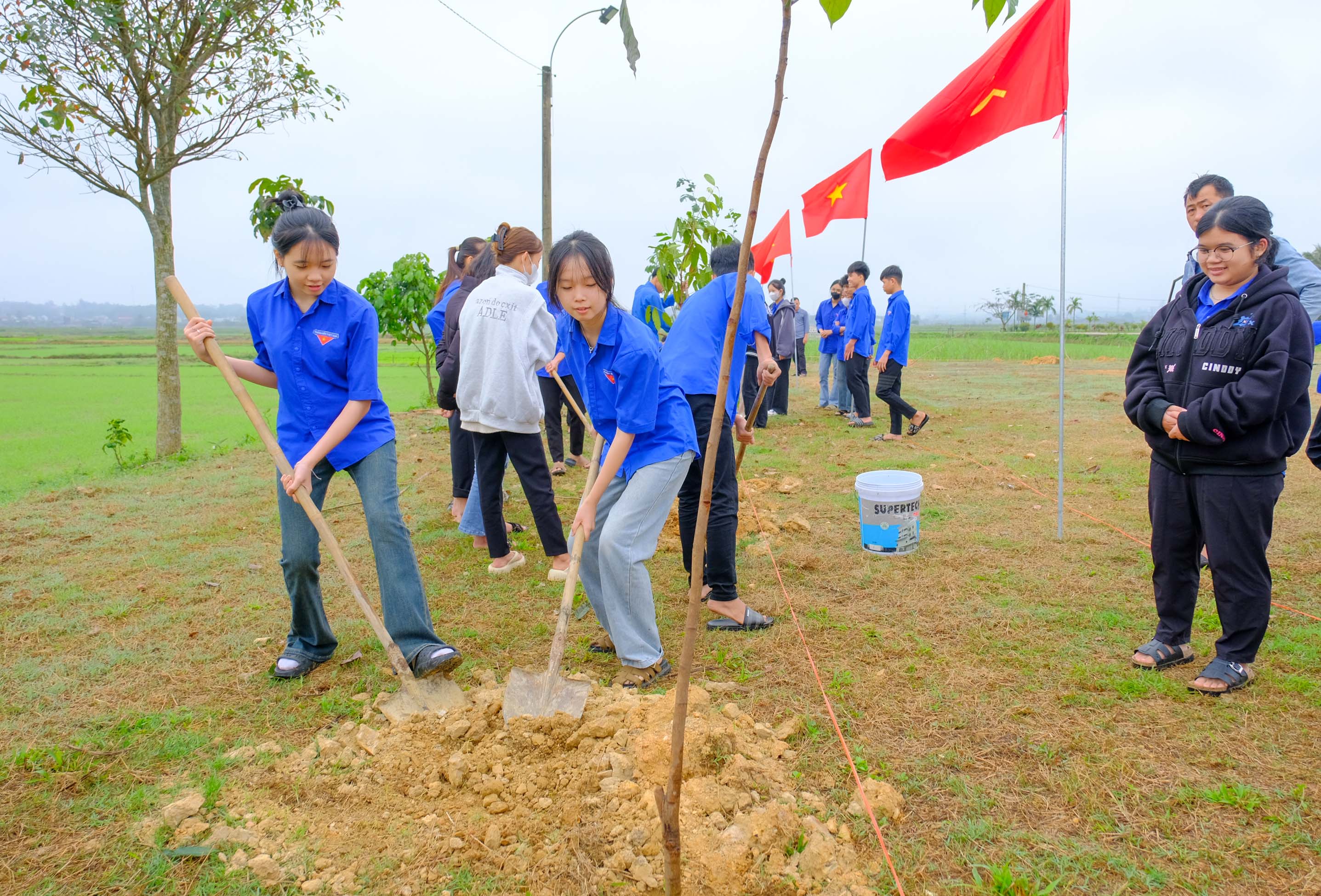 Tỉnh đoàn và Hội LHTN Việt Nam tỉnh tổ chức ra quân Tết trồng cây “Đời đời nhớ ơn Bác Hồ”