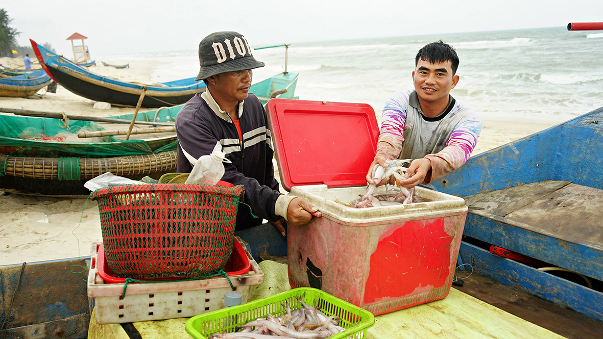 Ngư dân vươn khơi đầu xuân mới