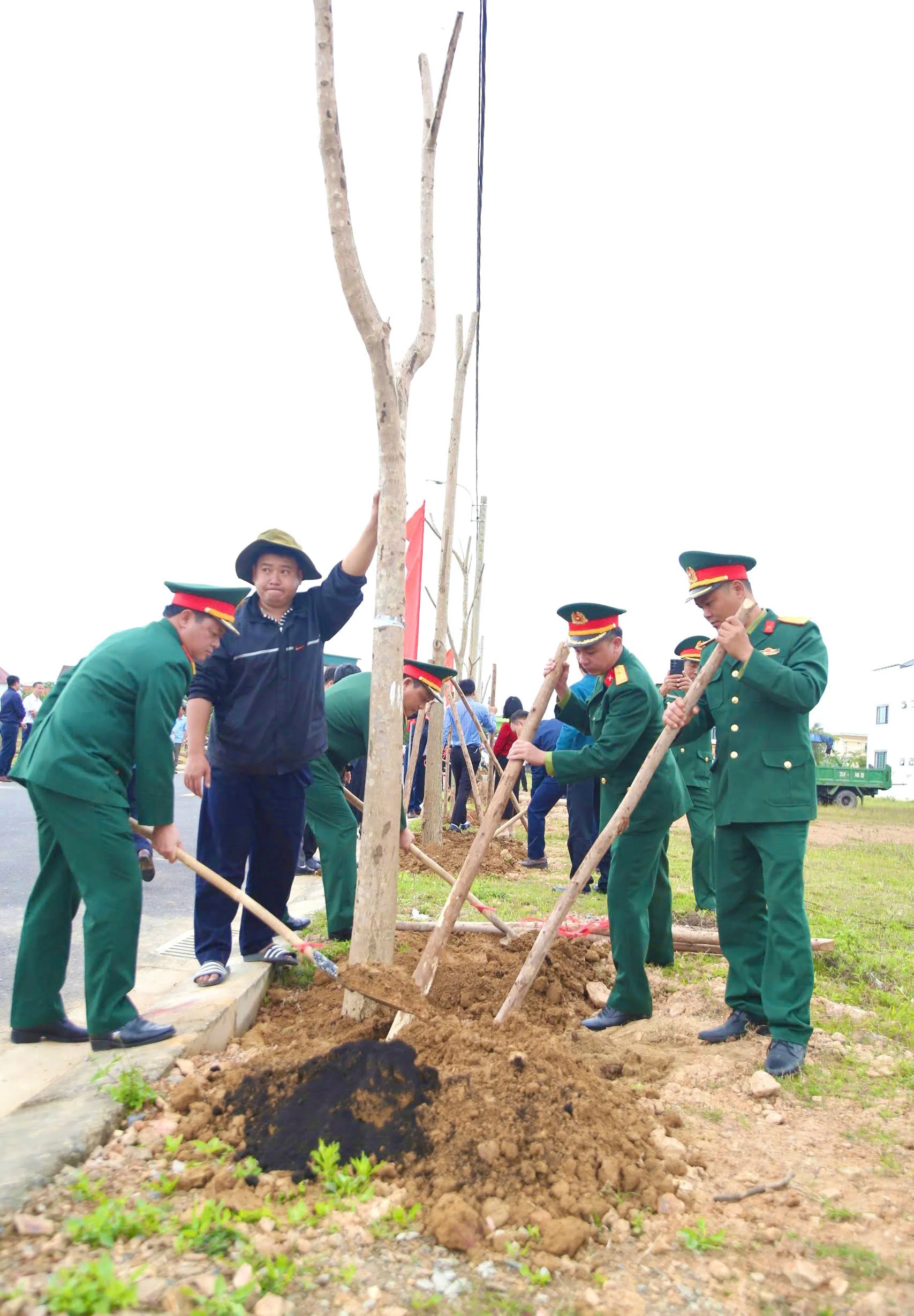Đông Hà: Phát động “Tết trồng cây đời đời nhớ ơn Bác Hồ” xuân Ất Tỵ 