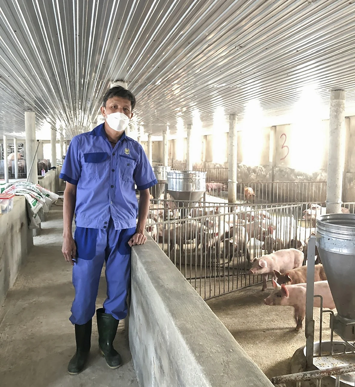 Cựu chiến binh thu nhập mỗi năm 300 triệu đồng từ trang trại nuôi lợn khép kín