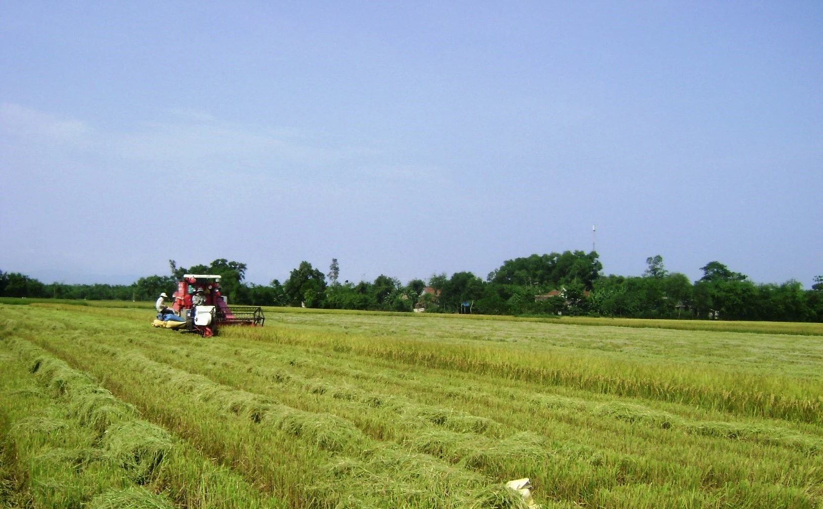 Chế ngự thủy thần