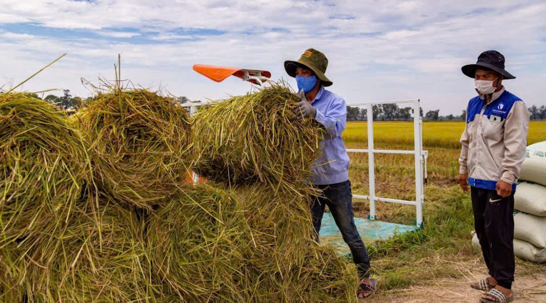 Hợp tác xã - “Bệ đỡ” để nông nghiệp Hải Lăng phát triển. Bài 2: Cần chính sách hỗ trợ để nâng cao vai trò của hợp tác xã