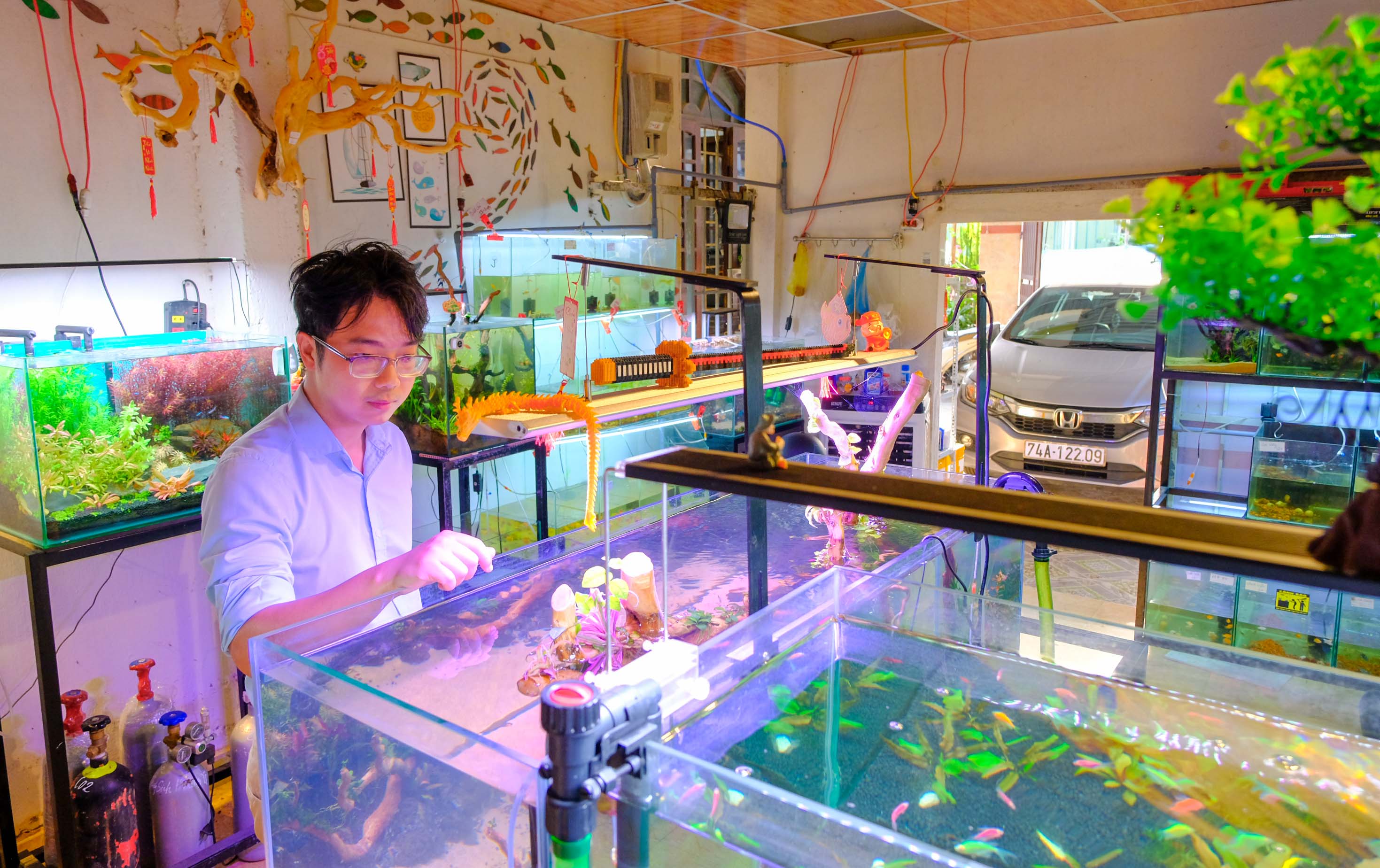 Aquarium hobby – Elegant leisure grows in Quang Tri