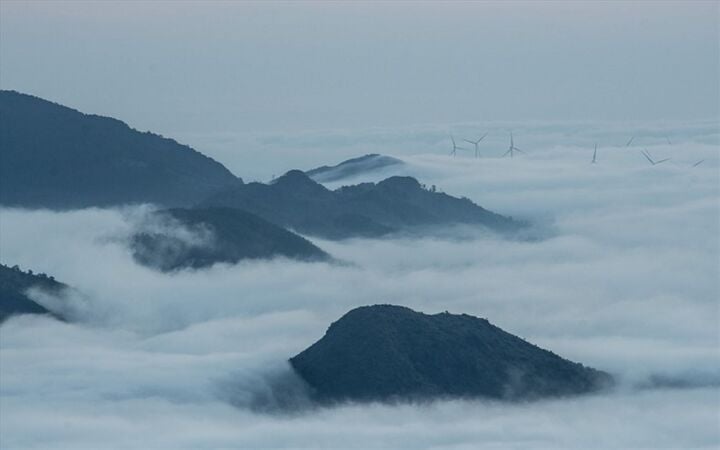 The ultimate experience of cloud hunting amidst hundreds of windmills in Quang Tri