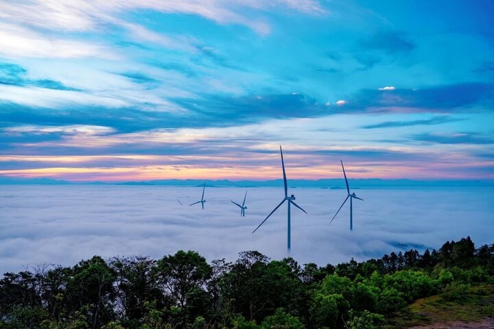 The ultimate experience of cloud hunting amidst hundreds of windmills in Quang Tri