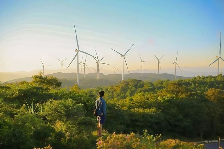 The ultimate experience of cloud hunting amidst hundreds of windmills in Quang Tri