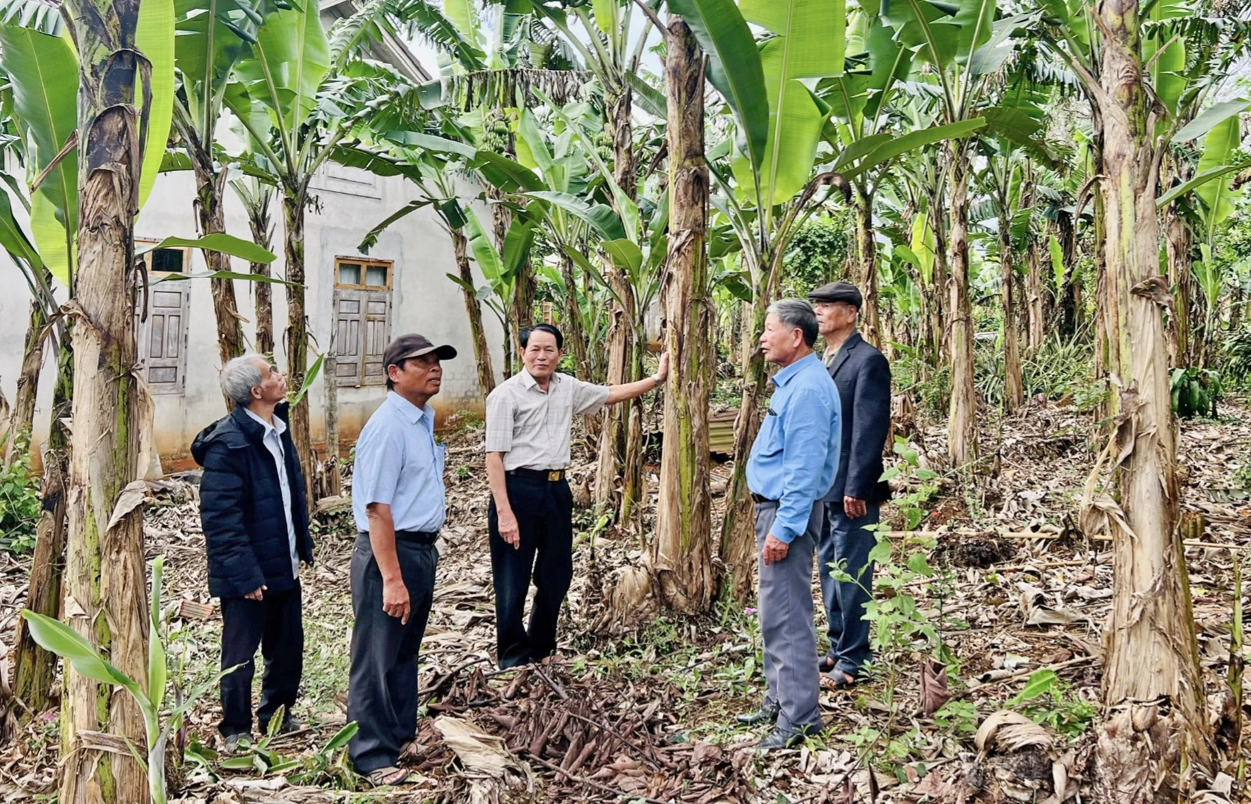 Sân chơi bổ ích của người cao tuổi ở Tân Thuận
