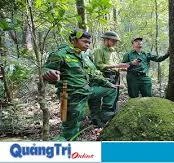 Đề nghị hướng dẫn để bố trí 66 công chức kiểm lâm địa bàn cấp xã khi bãi bỏ nhiệm vụ