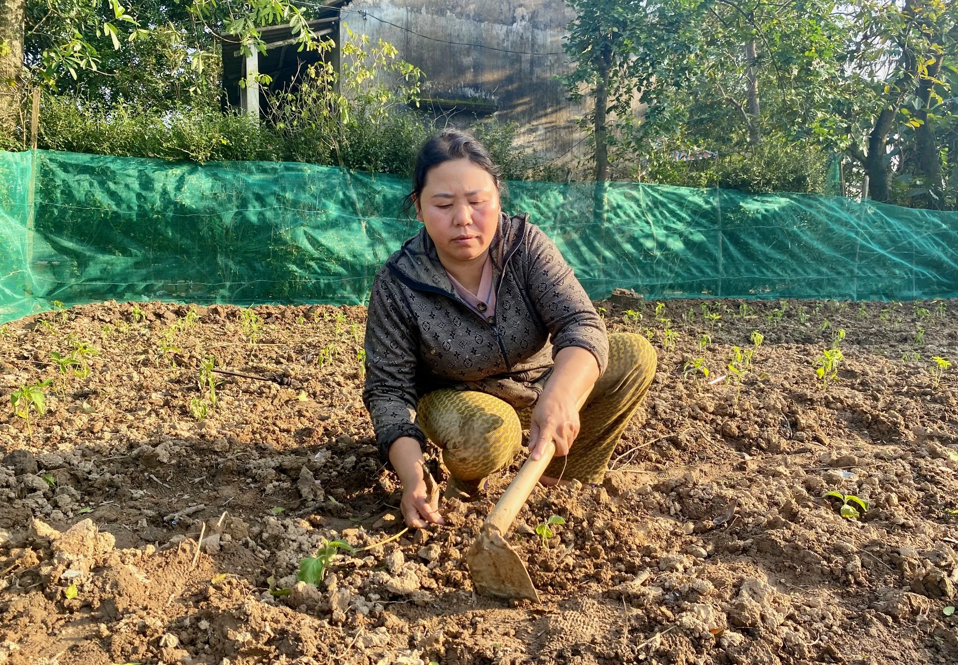 Khó khăn bủa vây gia đình chị Hành