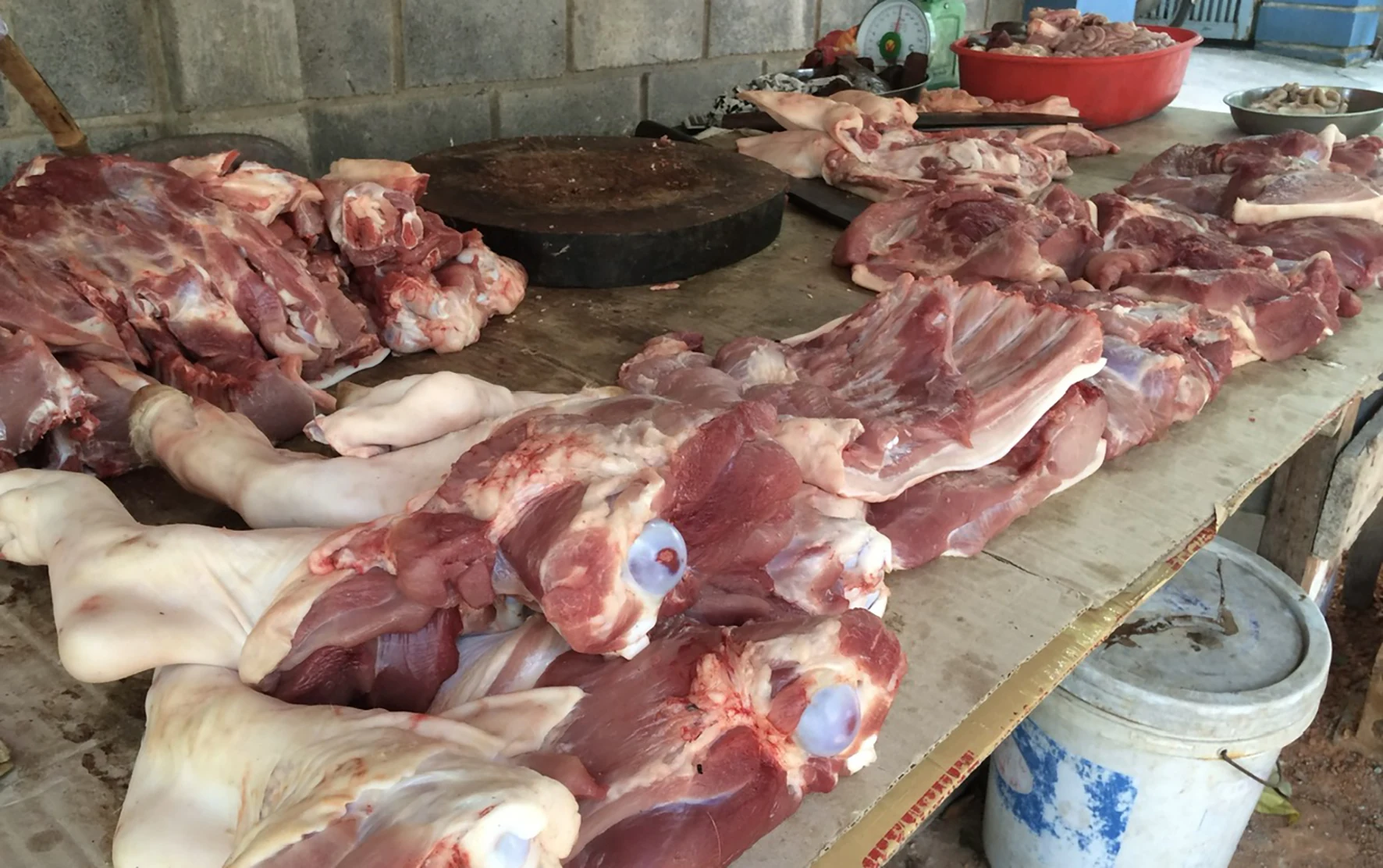 Phát triển chăn nuôi lợn hiệu quả, bền vững