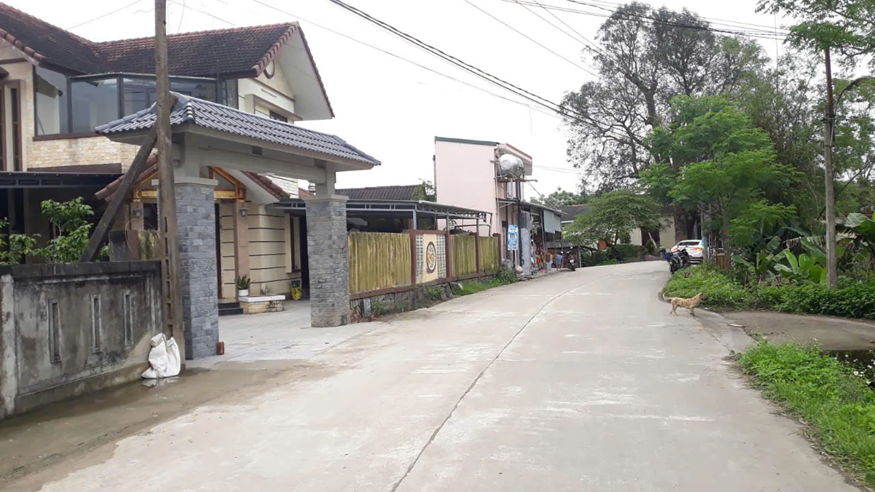 Khởi sắc trên quê hương Triệu Thành