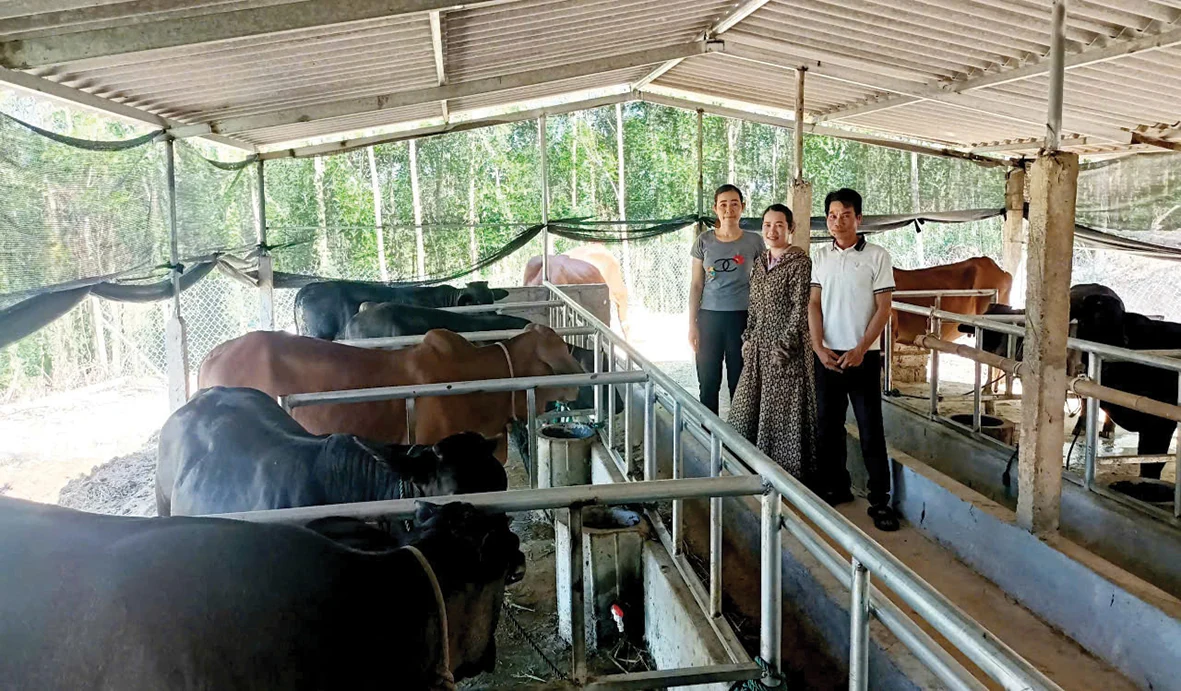 Nhiều giải pháp nâng cao thu nhập cho người dân khu vực nông thôn