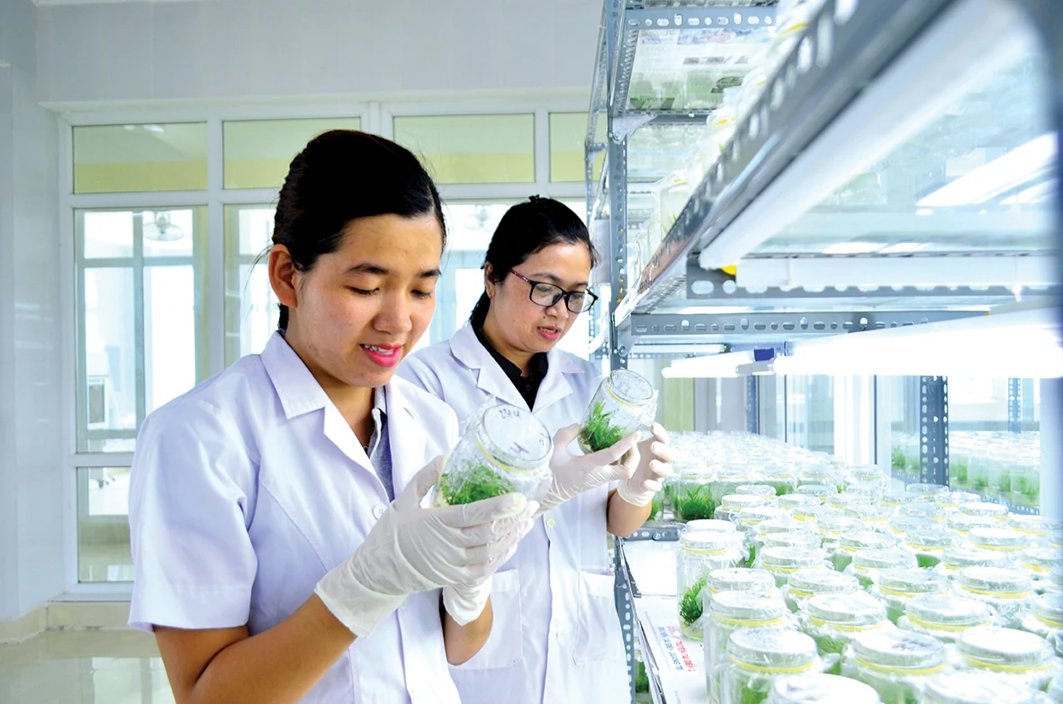 Đột phá phát triển khoa học, công nghệ, đổi mới sáng tạo và chuyển đổi số