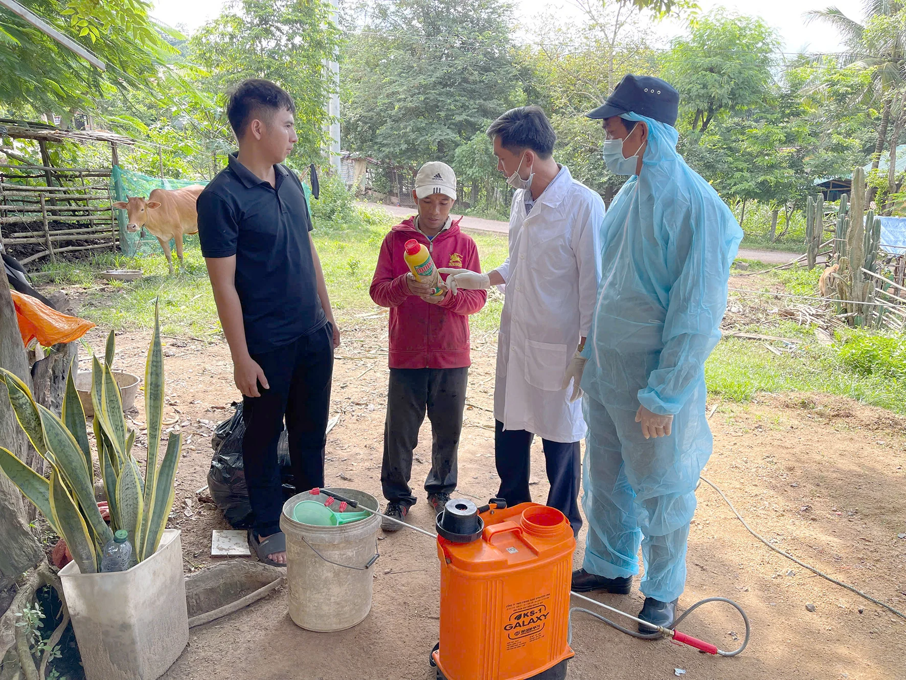 Chủ động phòng, chống dịch cúm gia cầm