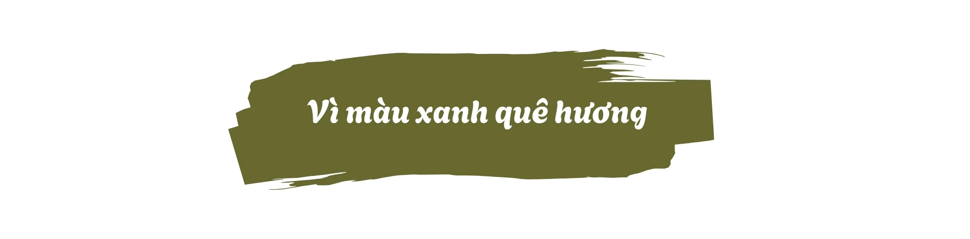 45 năm tận tụy giữ rừng