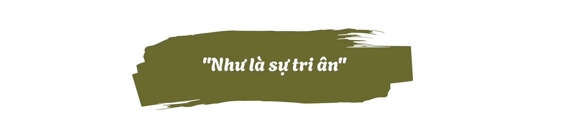 45 năm tận tụy giữ rừng