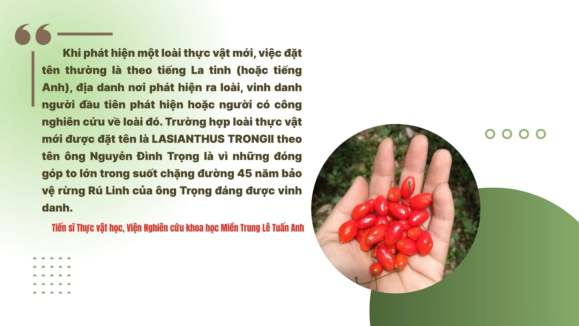 45 năm tận tụy giữ rừng