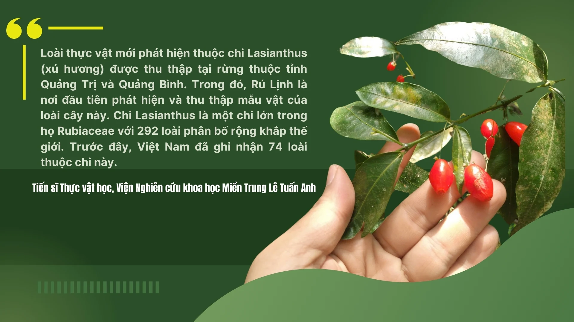 45 năm tận tụy giữ rừng
