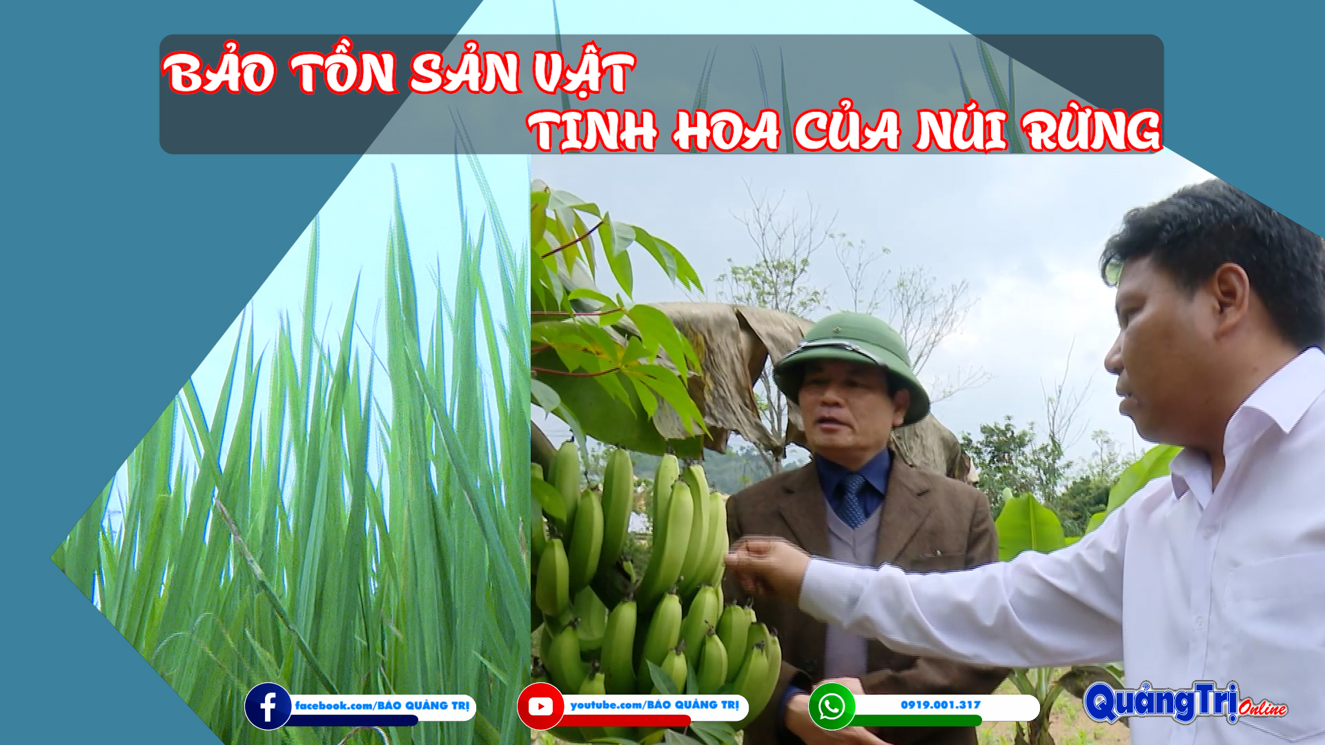 Bảo tồn sản vật tinh hoa của núi rừng