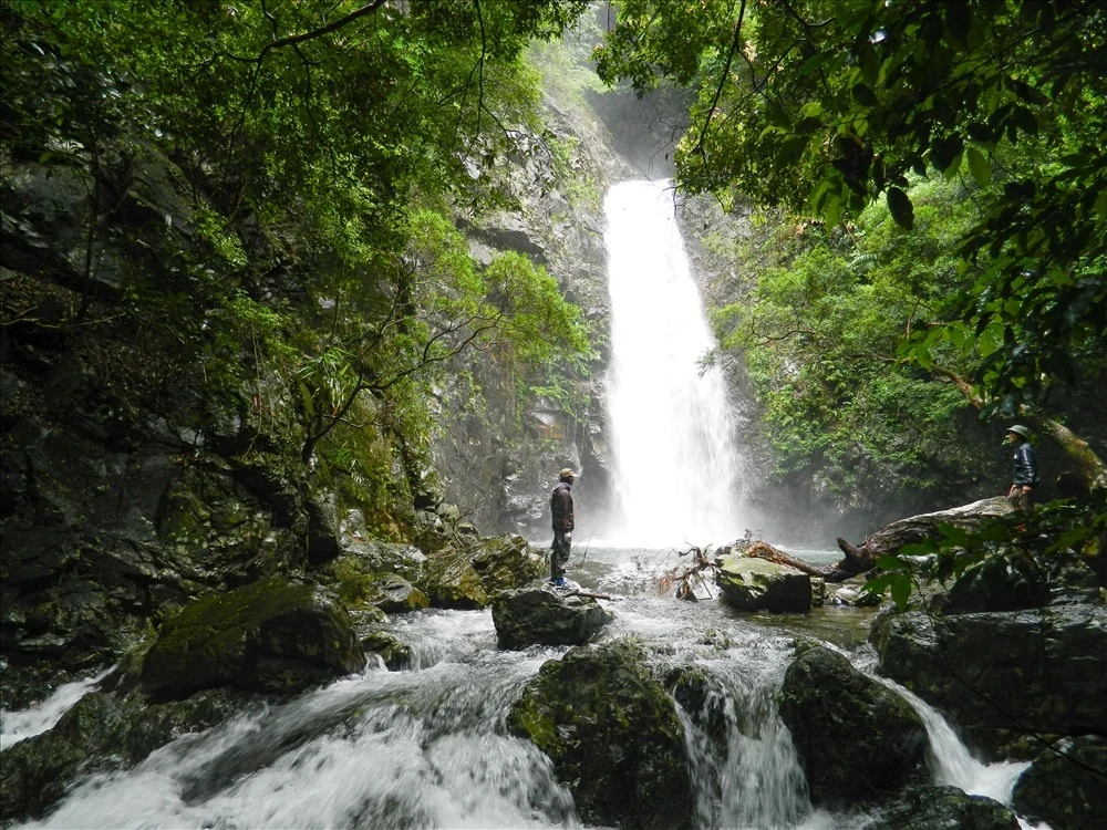 Đề xuất cho khai thác thử nghiệm sản phẩm du lịch sinh thái “Trekking đỉnh Pa Thiên - Voi Mẹp”