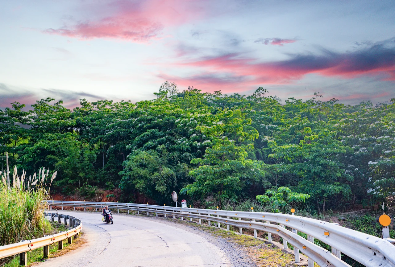 Phóng sự ảnh: Tinh khôi mùa hoa trẩu