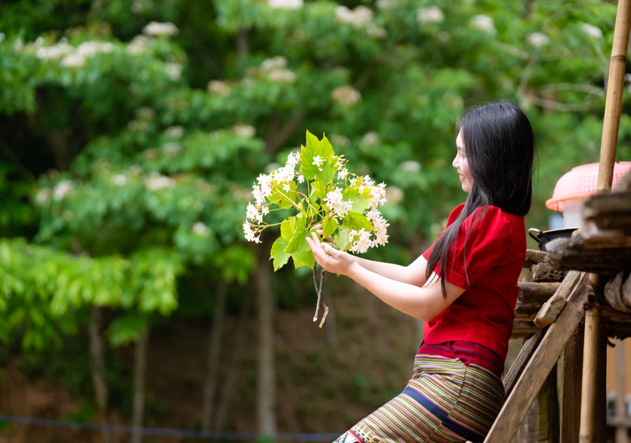 Phóng sự ảnh: Tinh khôi mùa hoa trẩu