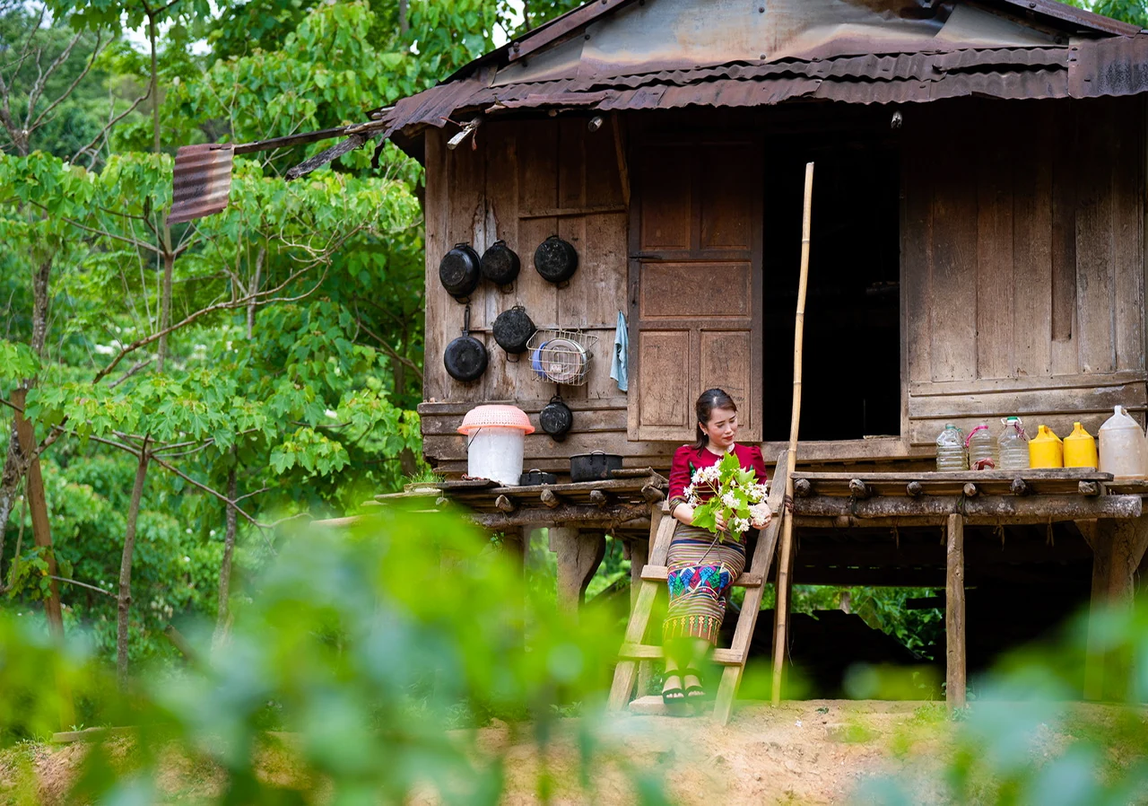 Phóng sự ảnh: Tinh khôi mùa hoa trẩu