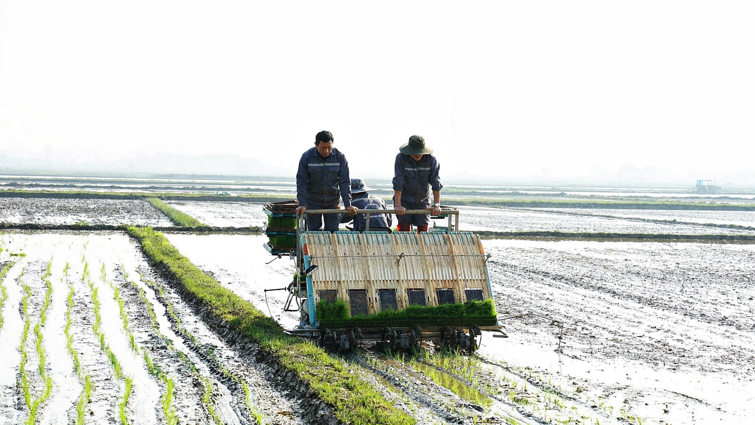 Diện tích dồn điền đổi thửa, tích tụ ruộng đất toàn tỉnh đạt hơn 780 ha