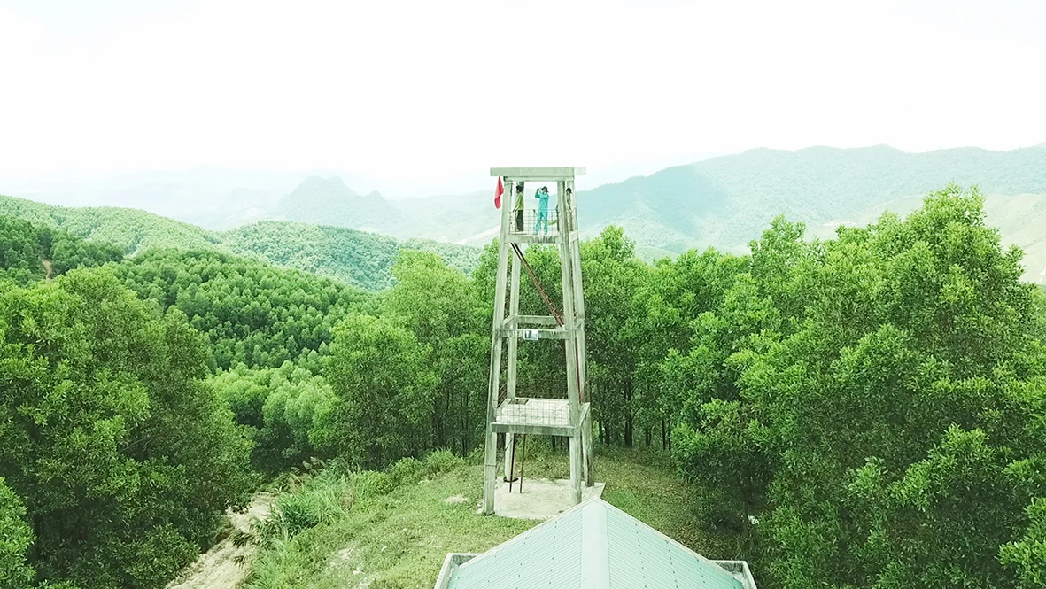 Nâng cao năng lực quản lý nhà nước đối với hoạt động sản xuất, chế biến lâm sản