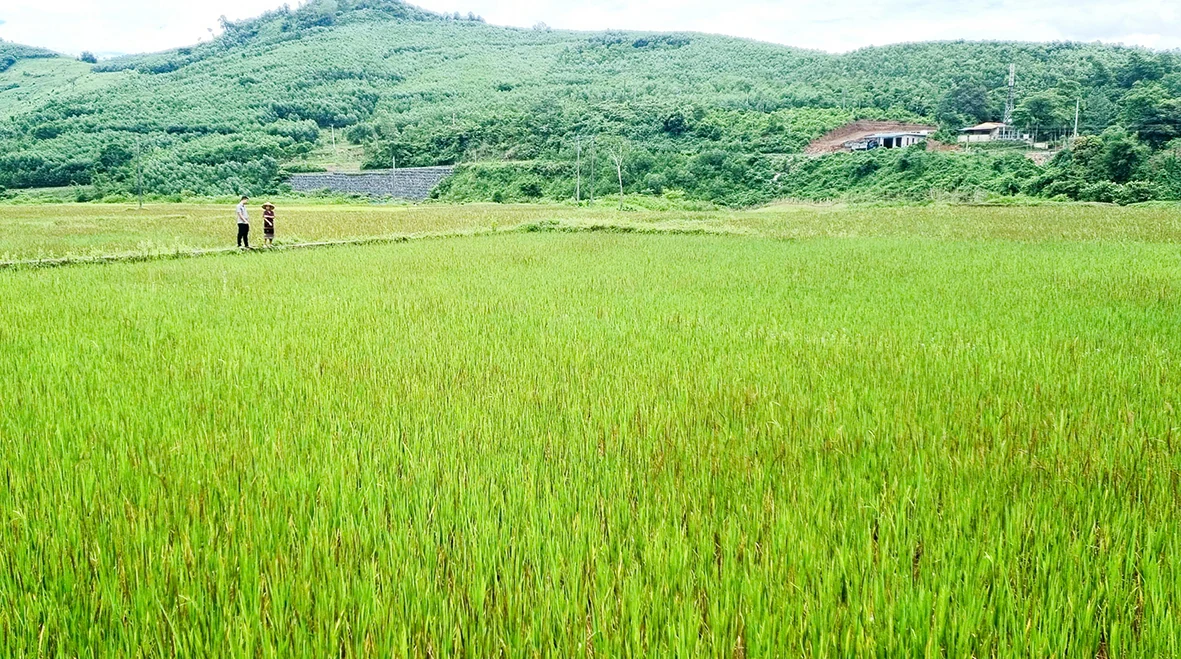 Hiệu quả các chương trình chuyên đề trong xây dựng nông thôn mới tại Đakrông