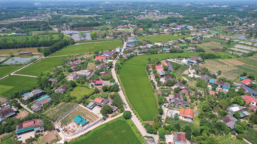 Đổi thay ở Hải Thượng