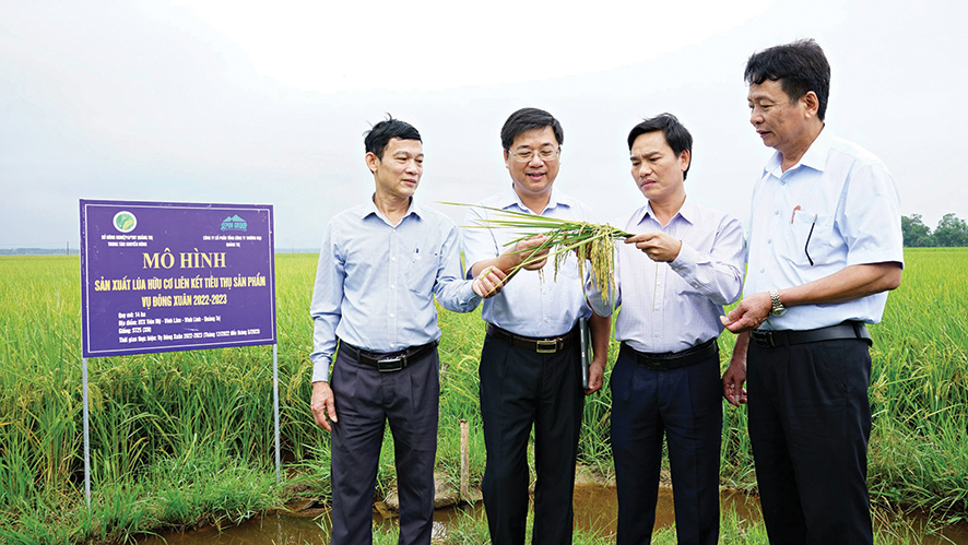 Dấu ấn nông nghiệp hữu cơ
